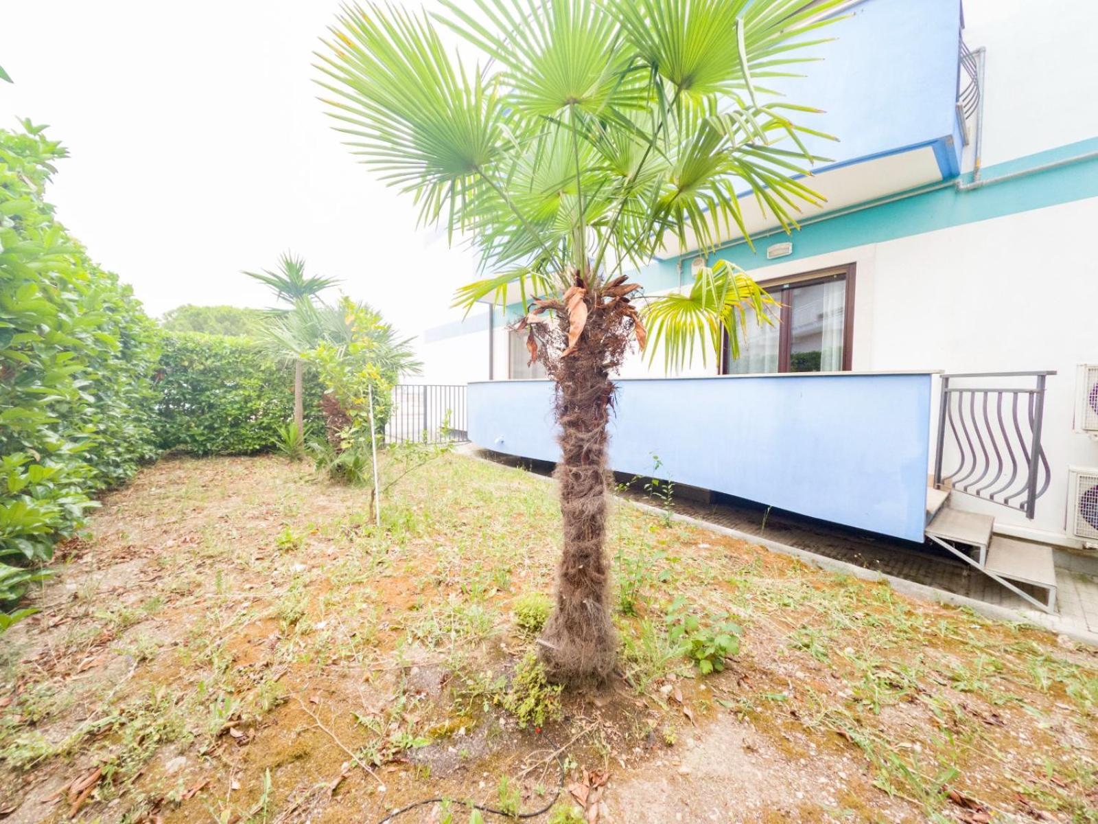 Residence Calle Del Porto 曼弗雷多尼亚 外观 照片